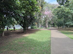 Samsung Galaxy A55 vs POCO X6 Pro: Qual o verdadeiro "Rei dos Intermediários" em 2026?